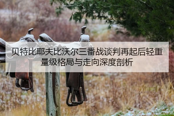 贝特比耶夫比沃尔三番战谈判再起后轻重量级格局与走向深度剖析